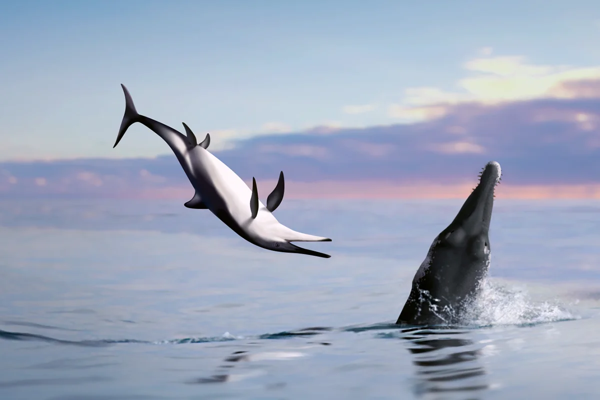 Ichthyosaurs