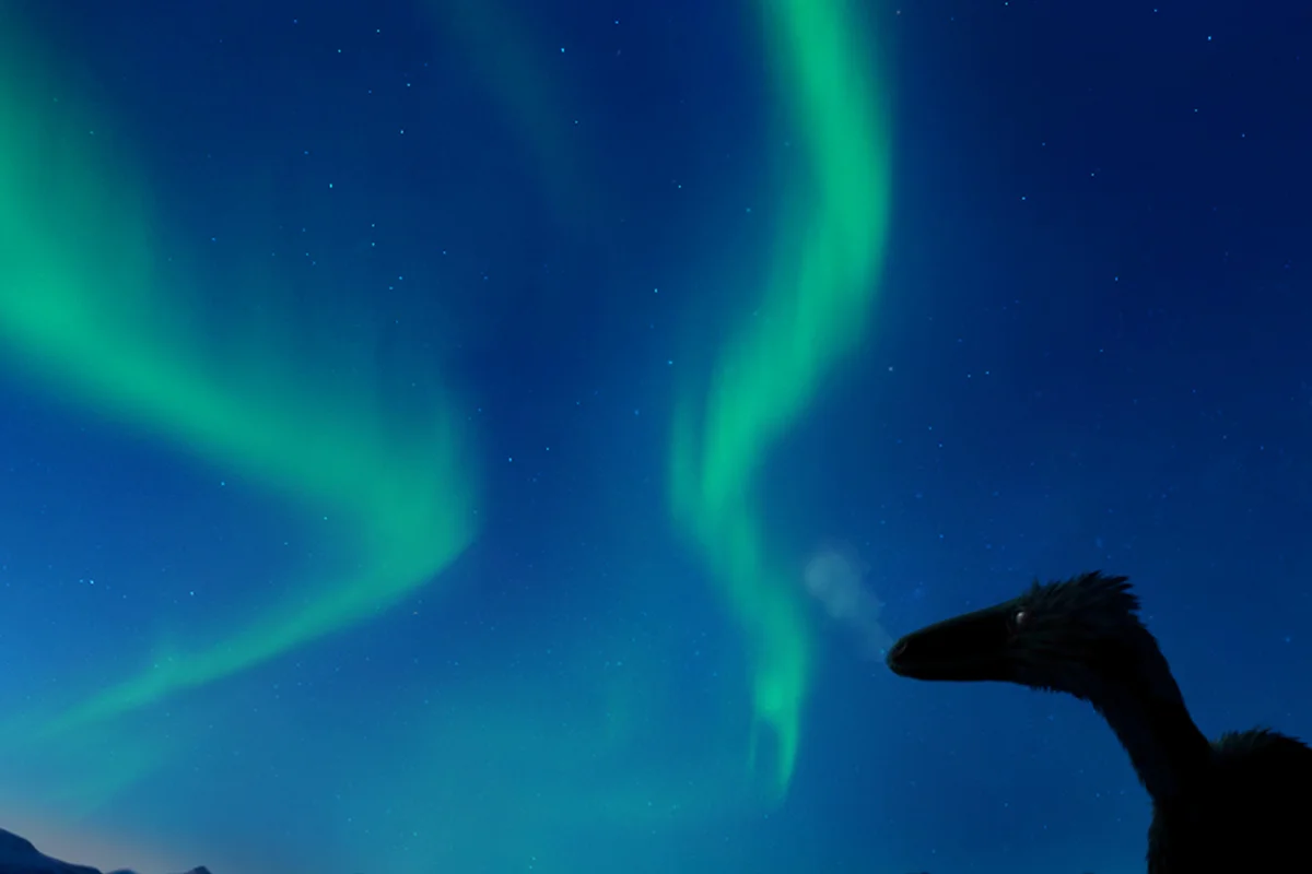 The dinosaur and the aurora