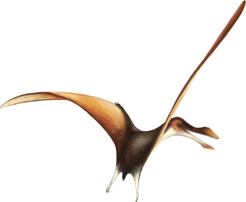 Lonchodraco