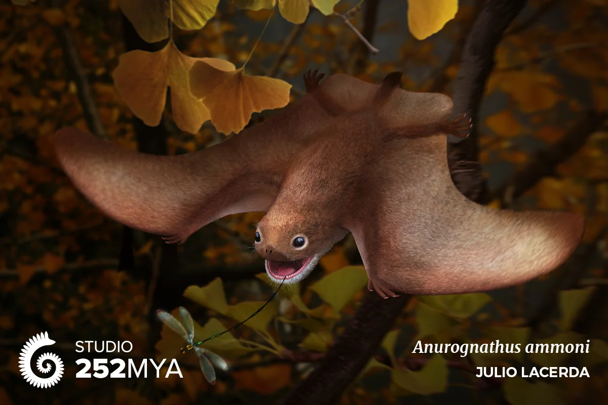Anurognathus