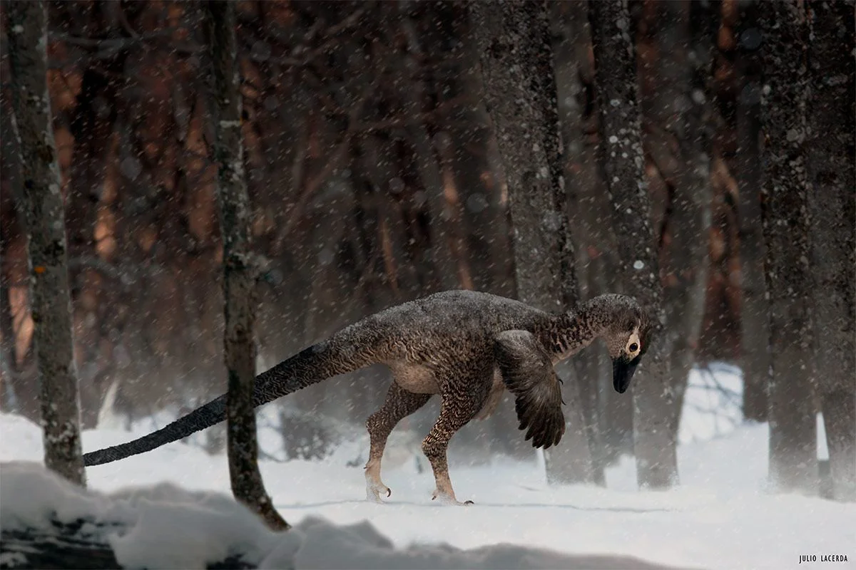 Alaskan Troodontid