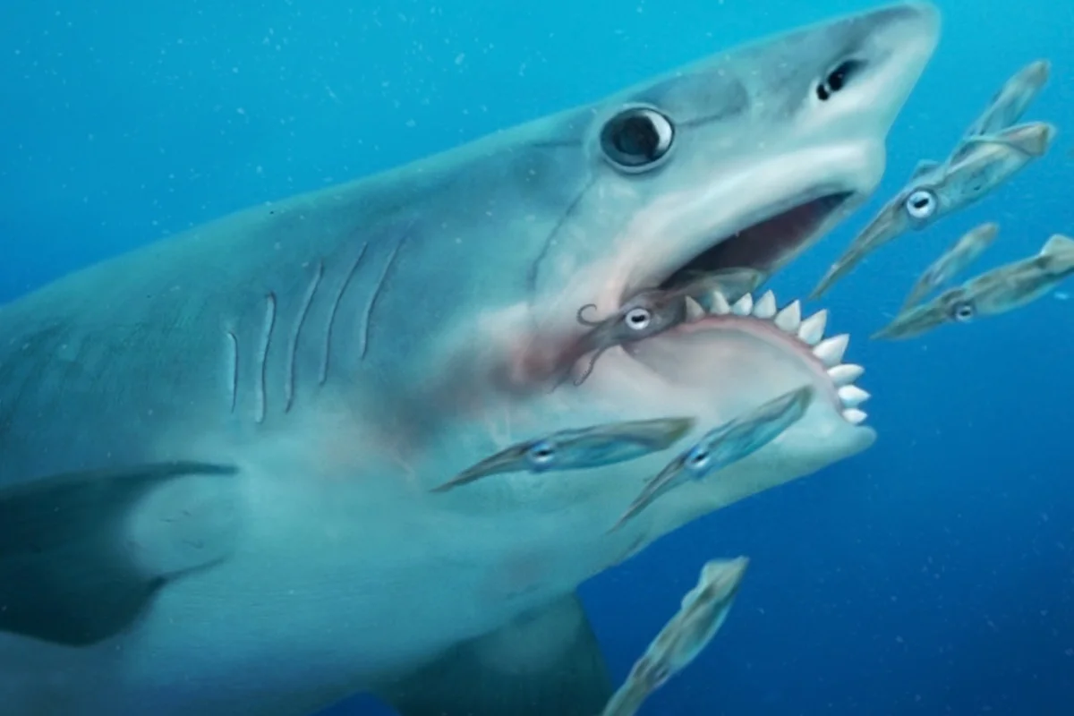Face of a predator