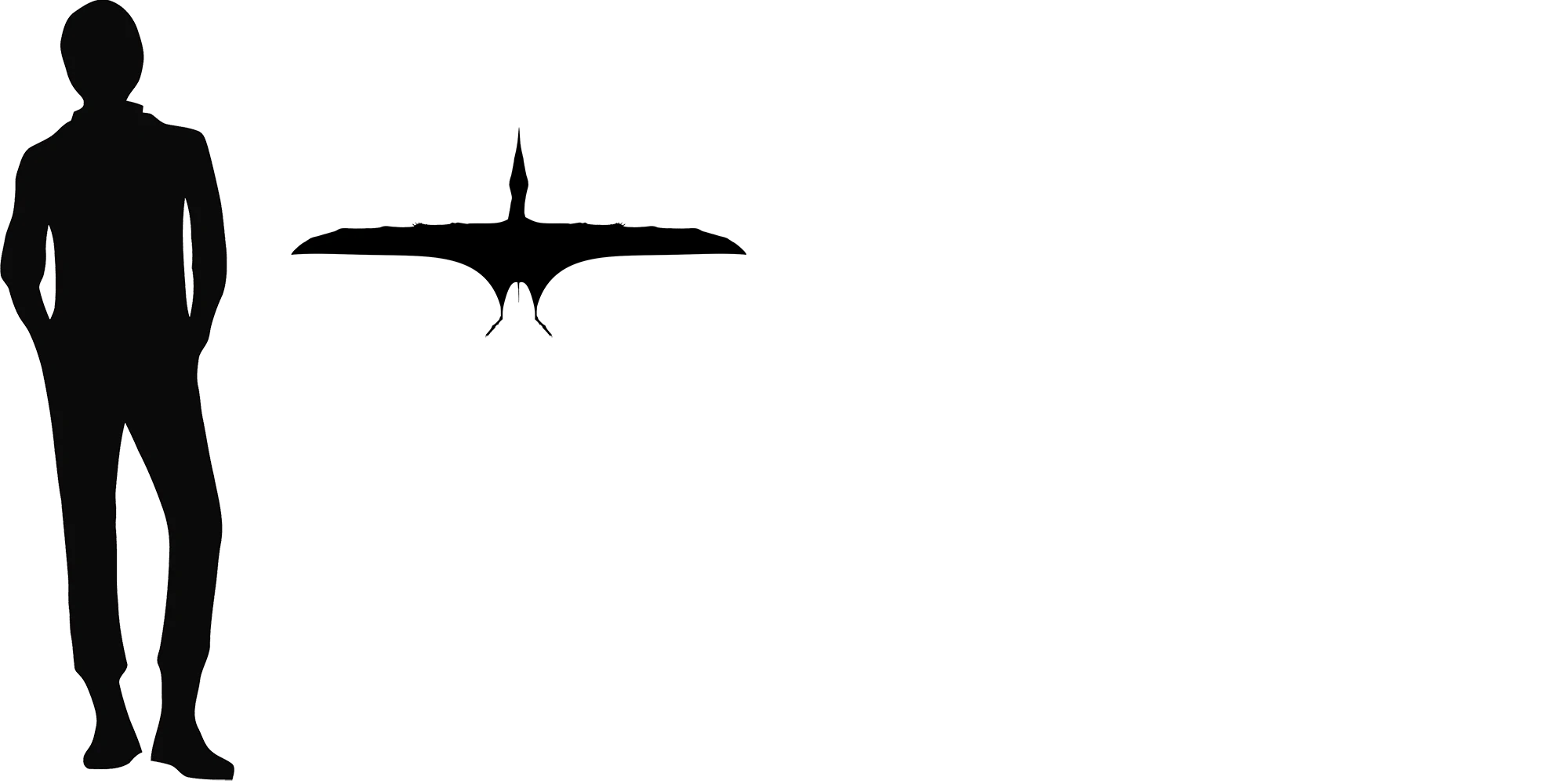 Germanodactylus wingspan comparison