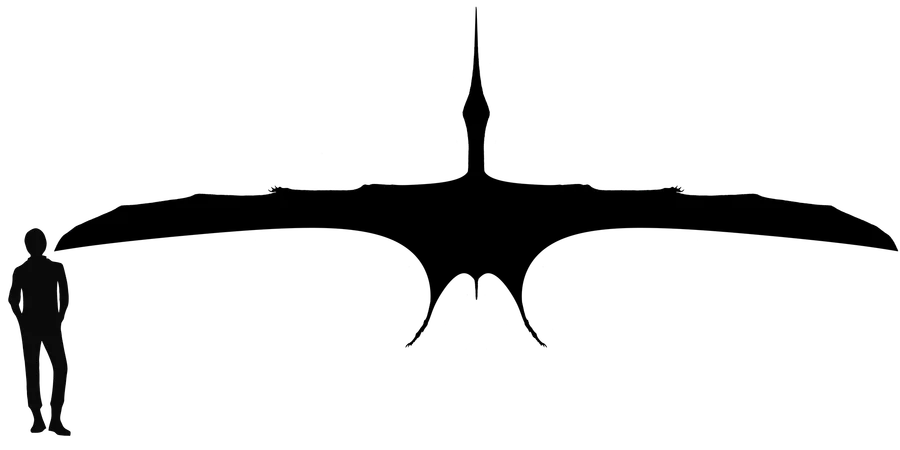 Geosternbergia wingspan comparison