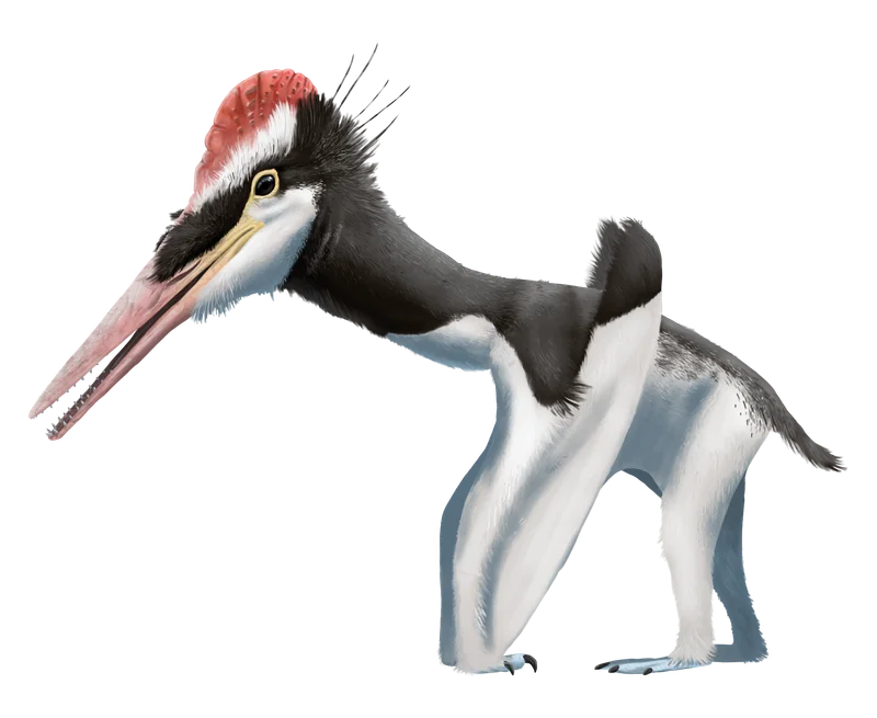 Kryptodrakon