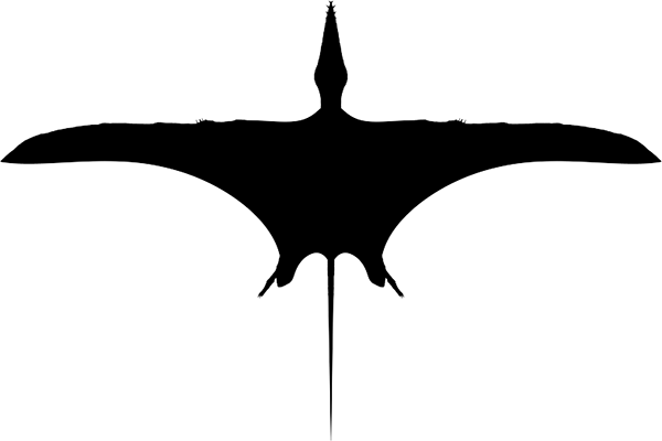 Dimorphodontidae