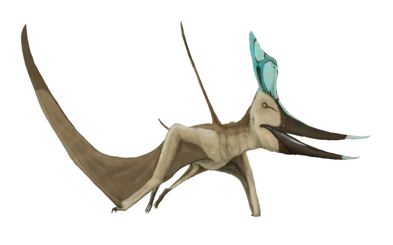 Geosternbergia
