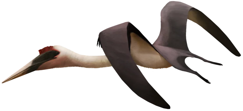Quetzalcoatlus