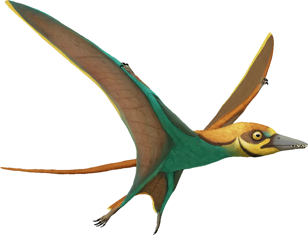 Arcticodactylus in flight