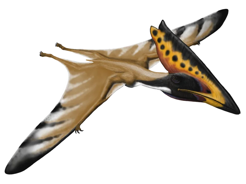 Thalassodromeus