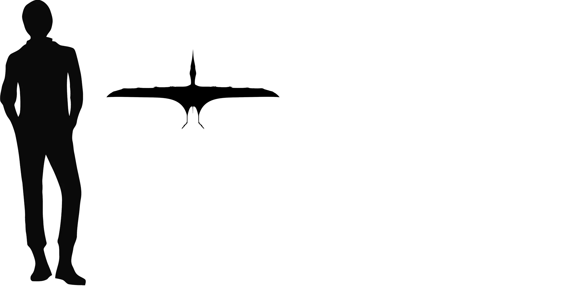Herbstosaurus wingspan comparison