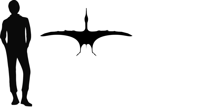 Ardeadactylus wingspan comparison