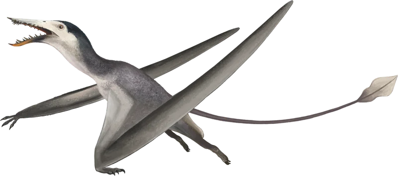 Nesodactylus