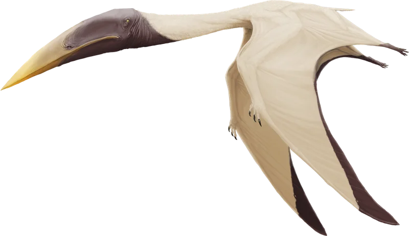 Azhdarcho