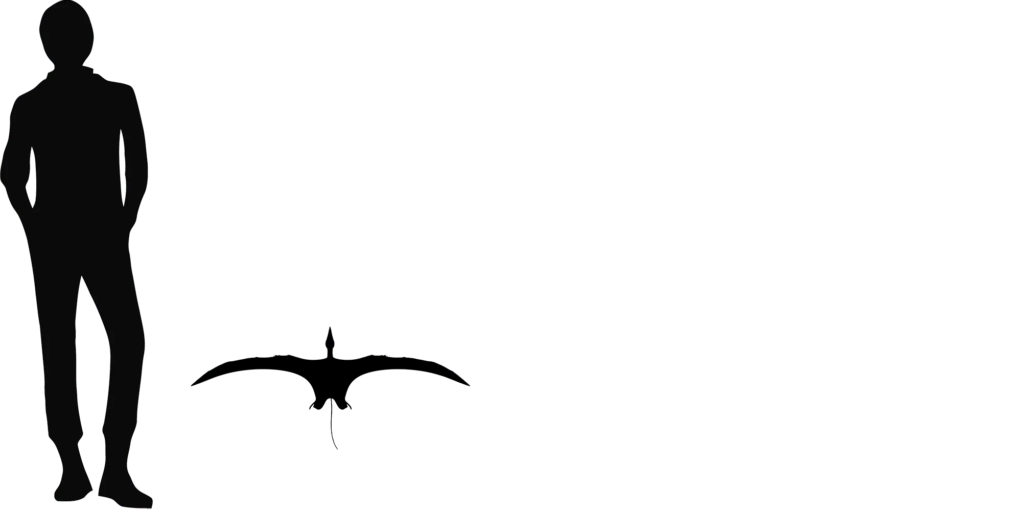 Eudimorphodon wingspan comparison