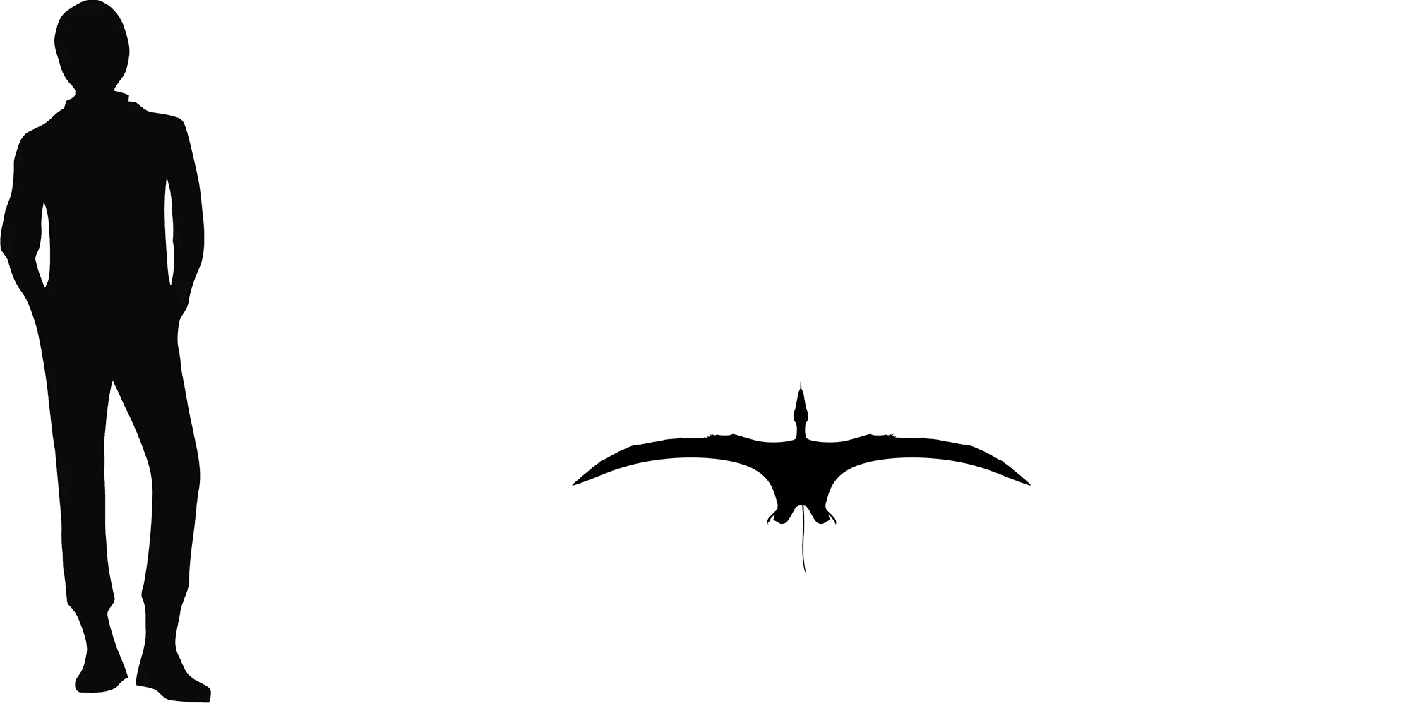 Austriadactylus wingspan comparison