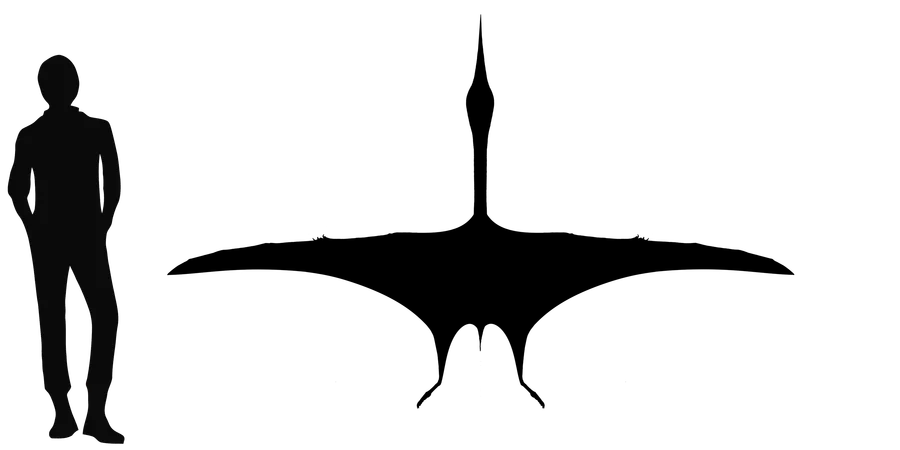 Eurazhdarcho wingspan comparison