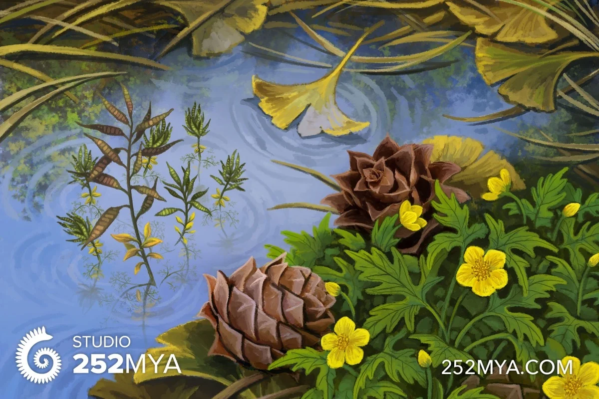 Seeds and flowers of Yixian Formation
