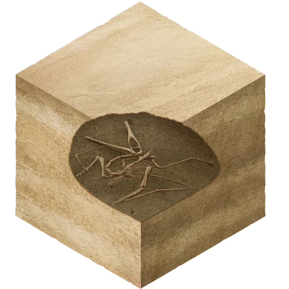Diagenesis: fossilization stage 3