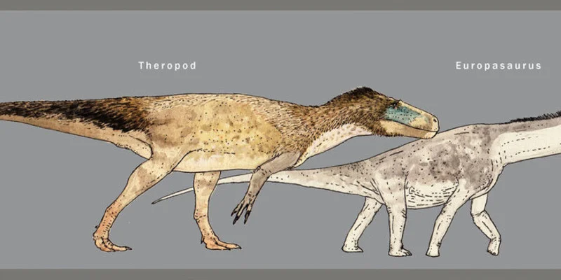 Size comparison of Langenberg dinos