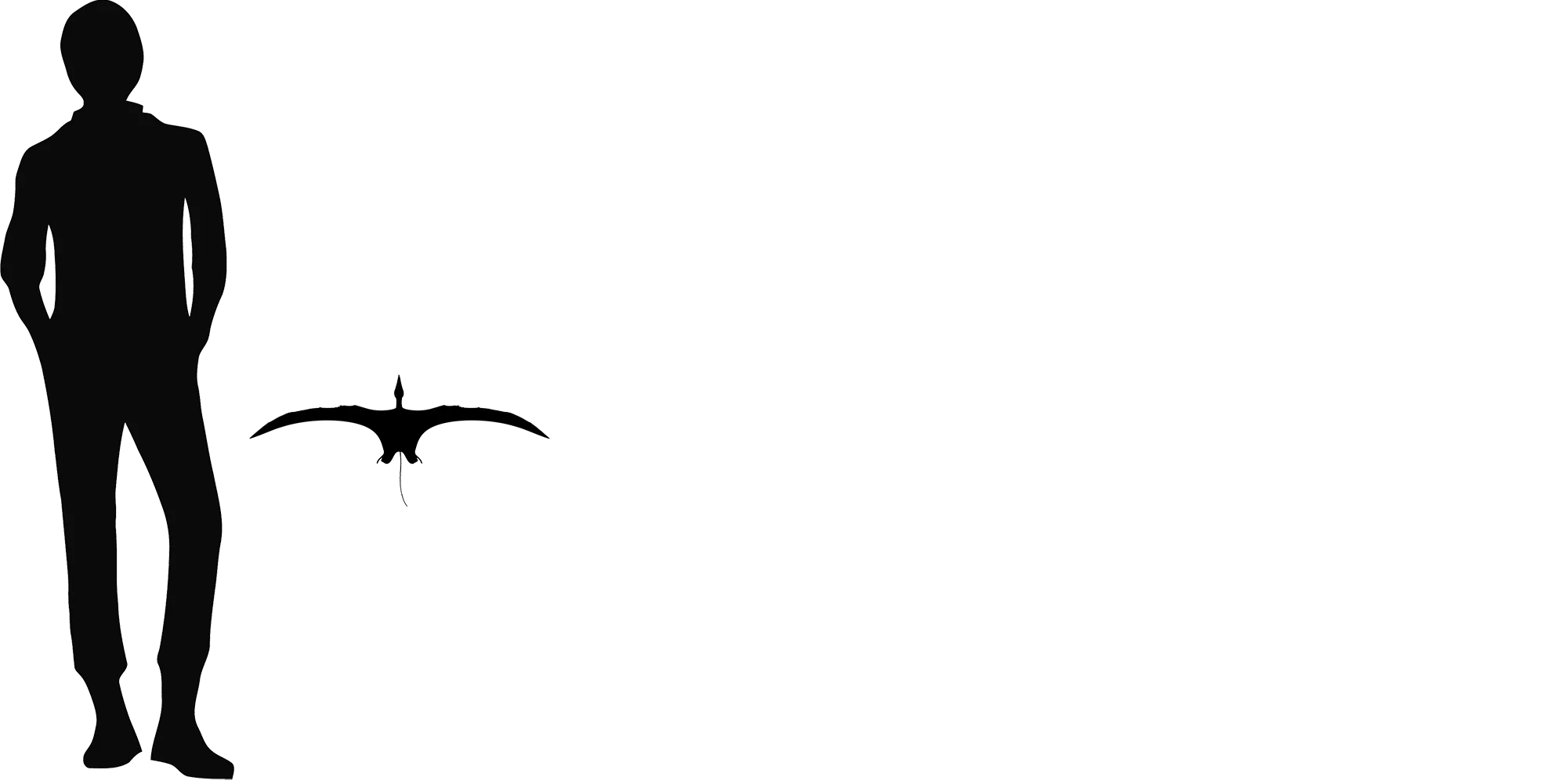 Carniadactylus wingspan comparison