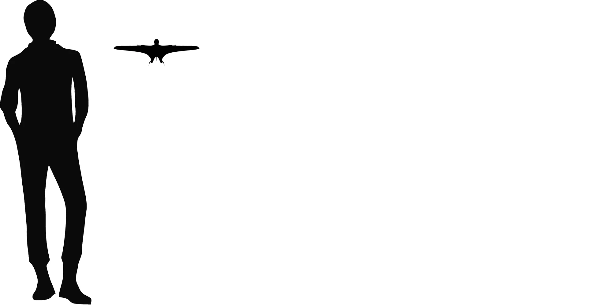 Cascocauda wingspan comparison