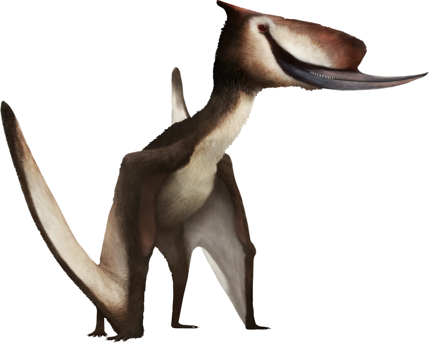 Dsungaripterus