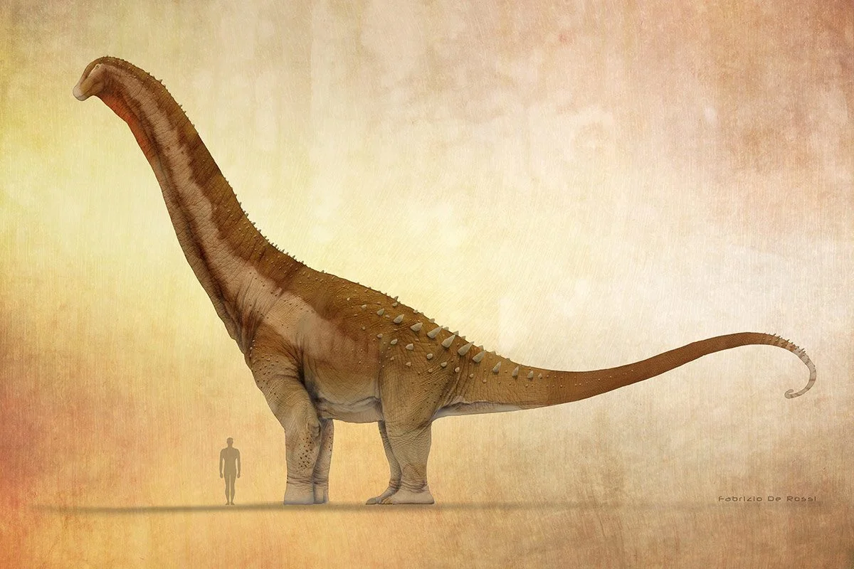 Profile view of Alamosaurus