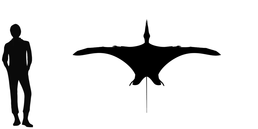 Harpactognathus wingspan comparison