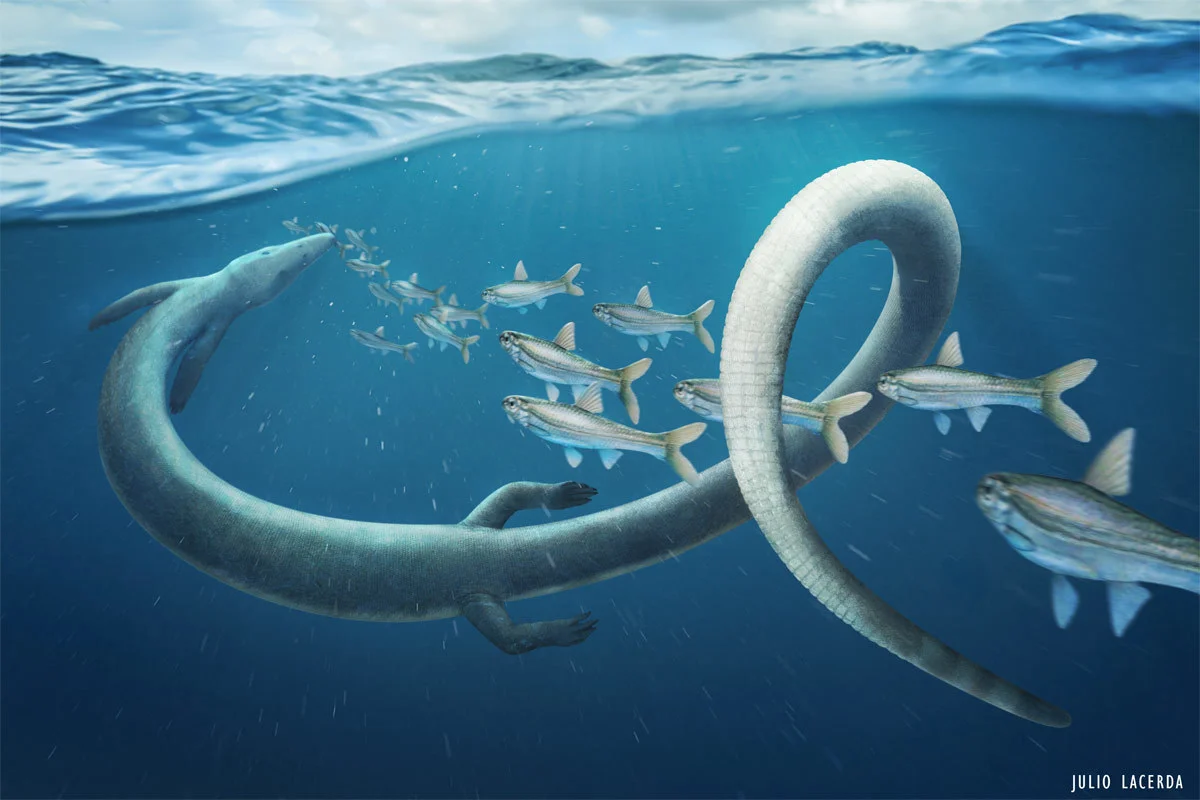 A pleurosaur swimming through the waters