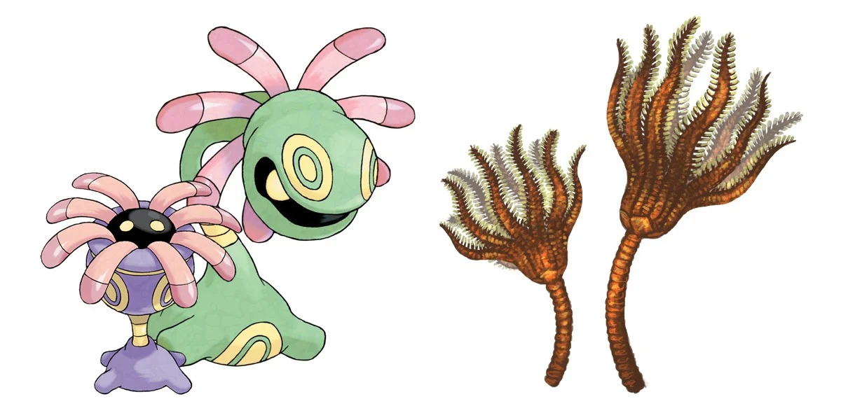Lileep and Cradily: Sea lilies