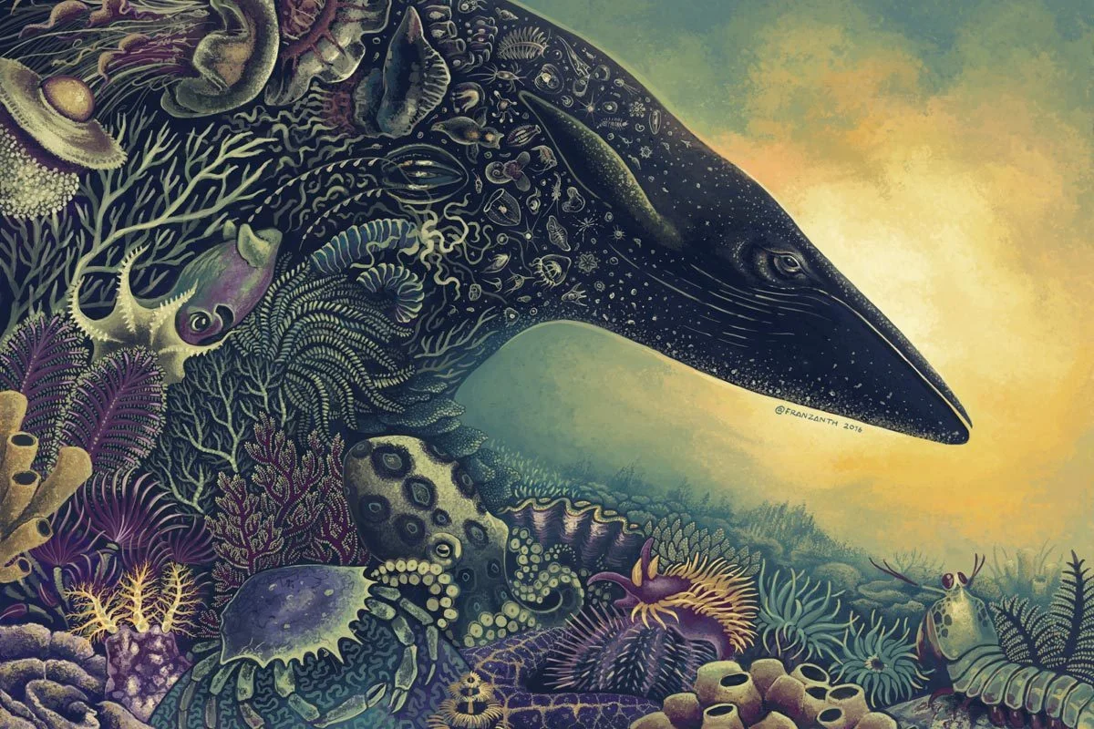 Will we ever look beyond the mighty, the cute, and the magnificent?