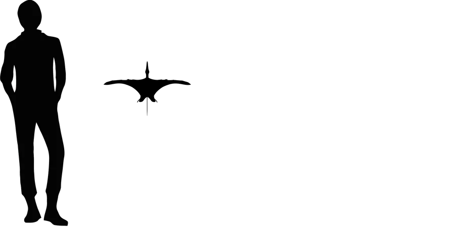 Kunpengopterus wingspan comparison