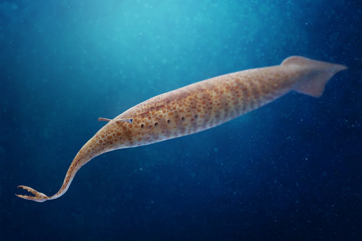 Tully Monster