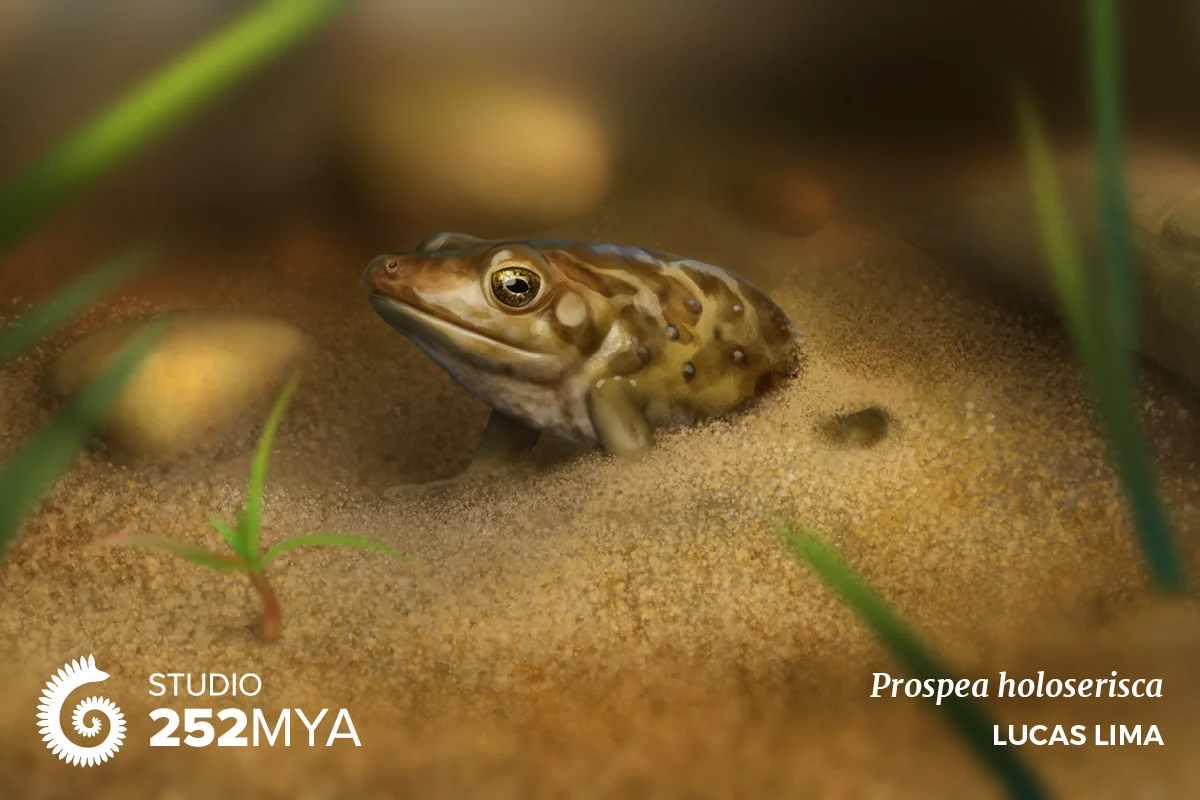 Early spadefoot toads lived in a milder environment, yet they burrowed for some reason.