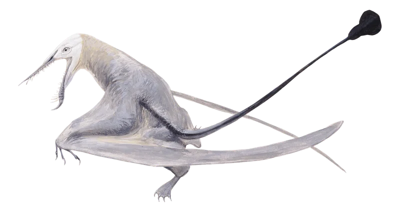 Klobiodon