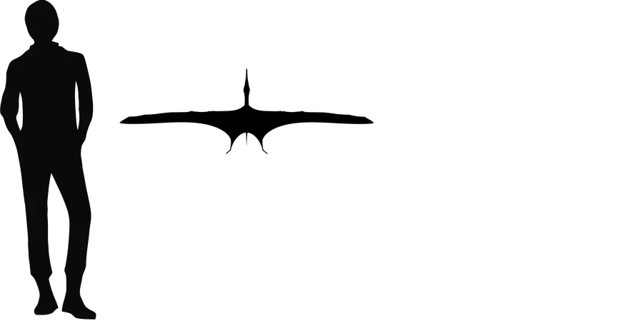 Boreopterus wingspan comparison
