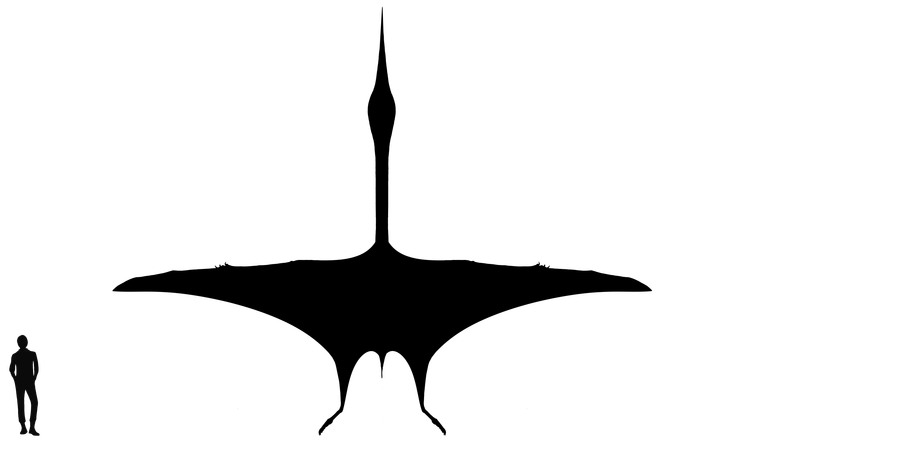 Quetzalcoatlus wingspan comparison