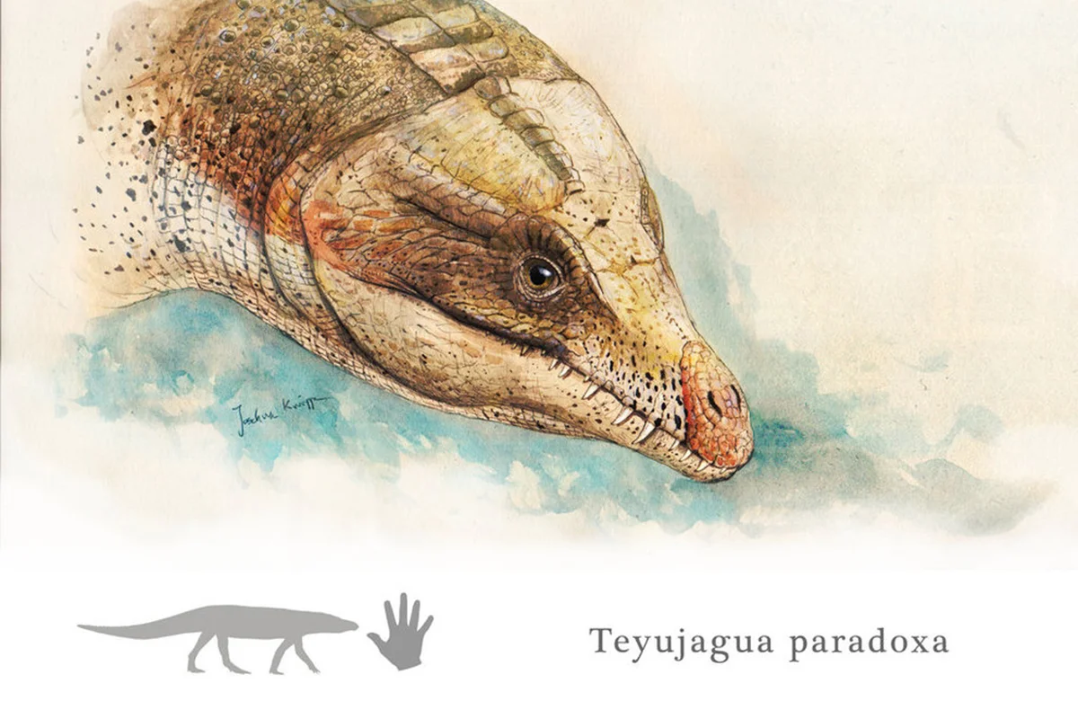 Teyujagua vital statistics