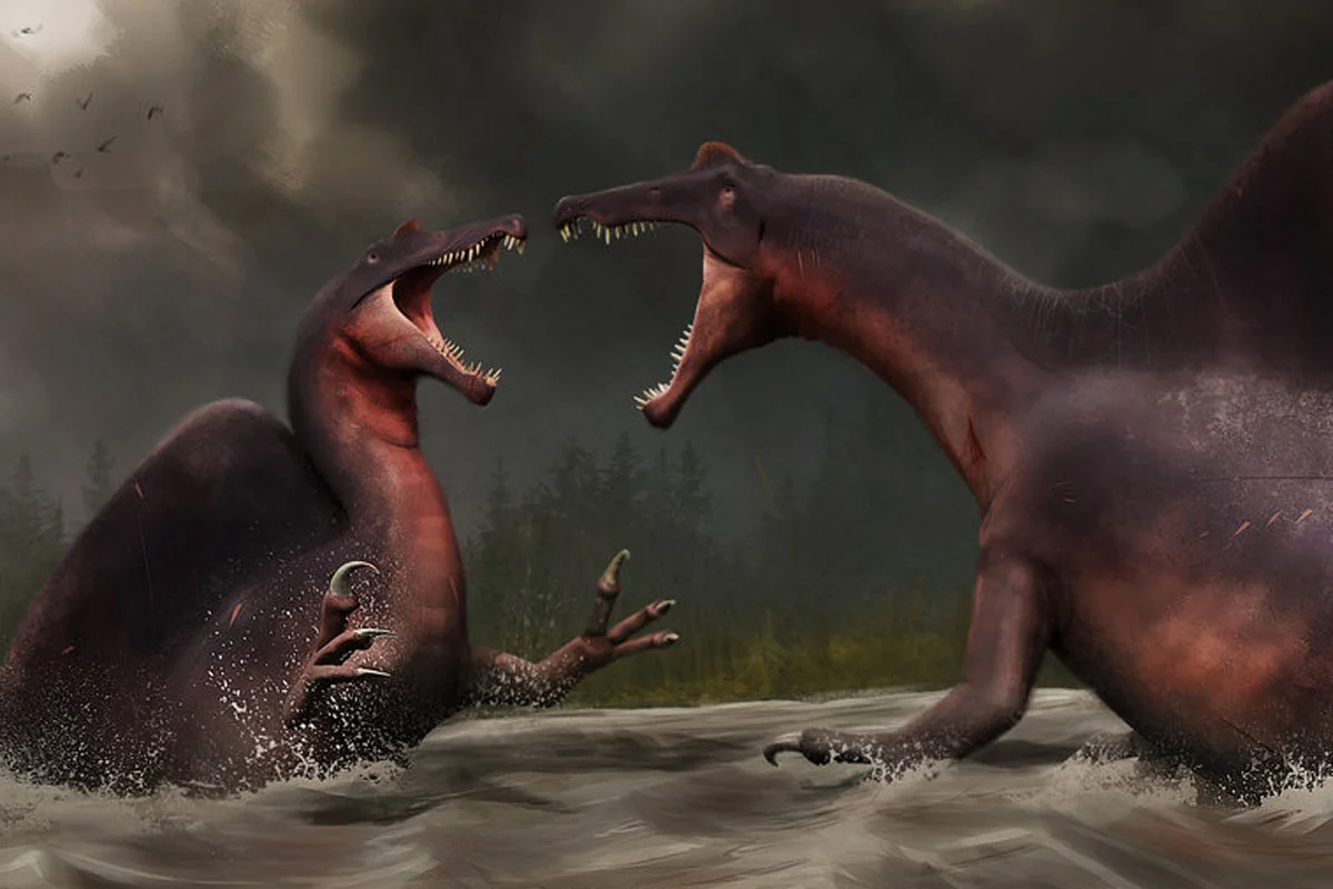 A different reconstruction based on Ibrahim