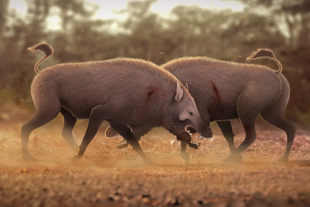 Dueling terminator pigs