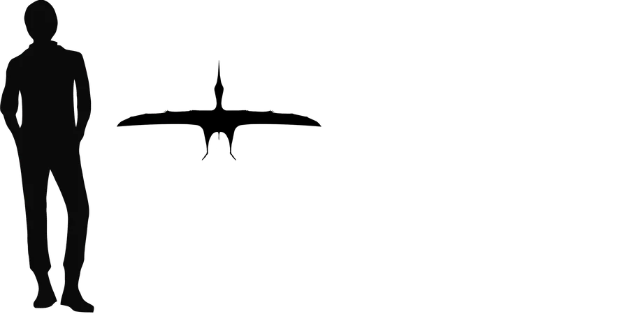 Eopteranodon wingspan comparison