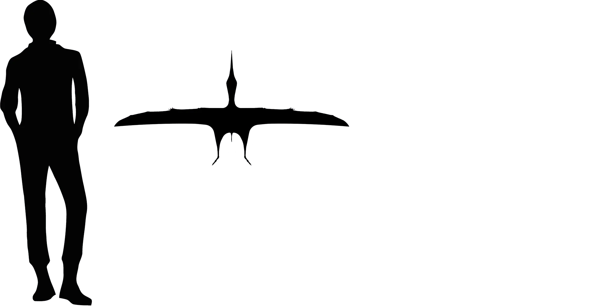 Shenzhoupterus wingspan comparison
