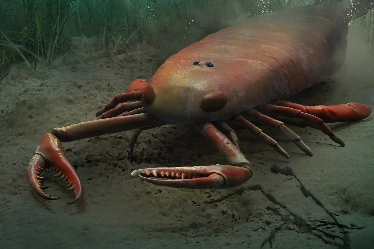 Jaekelopterus hunts on the seafloor