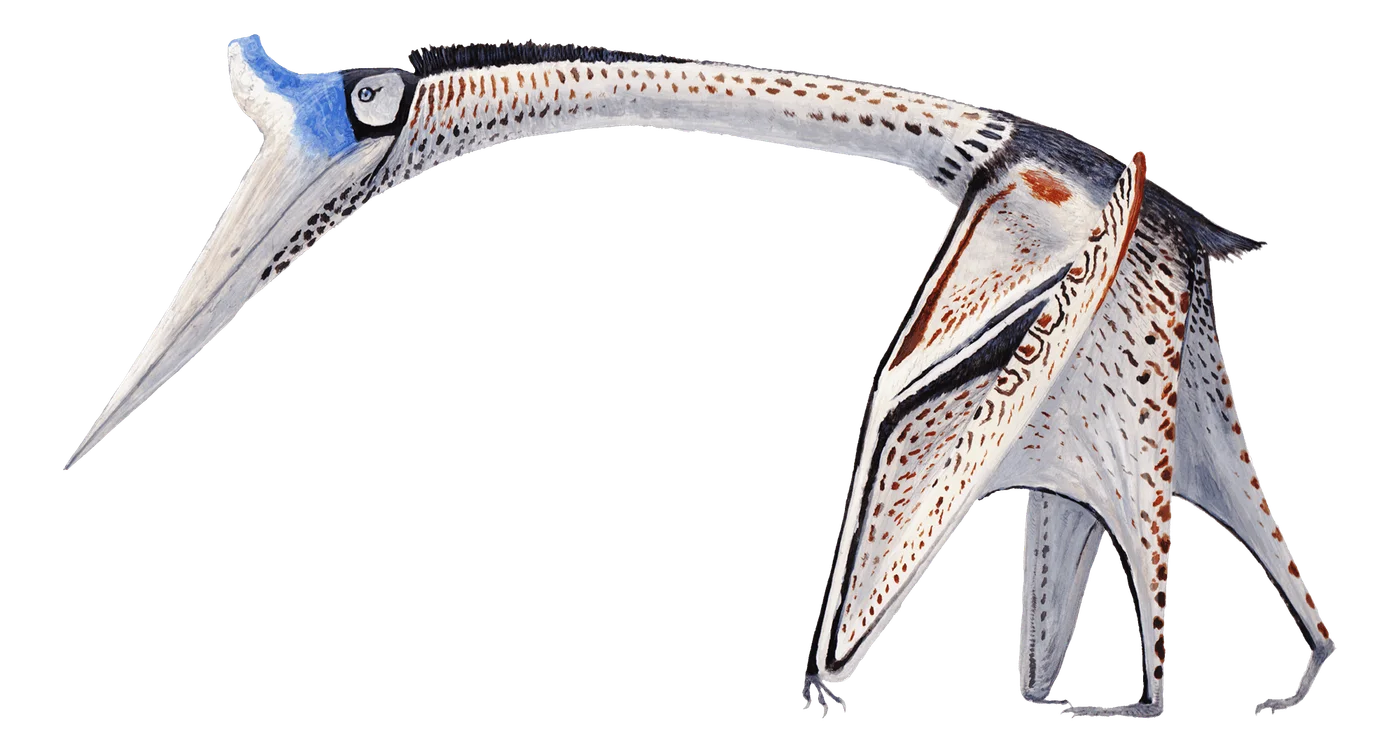 Cryodrakon
