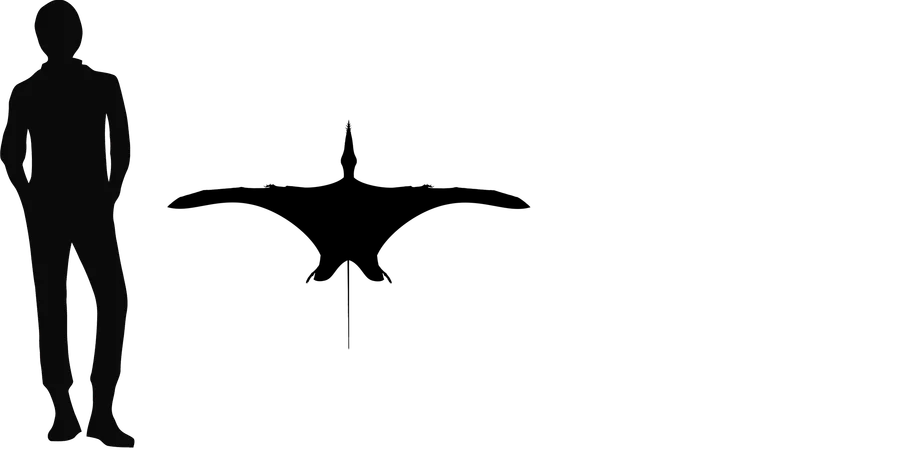 Rhamphinion wingspan comparison