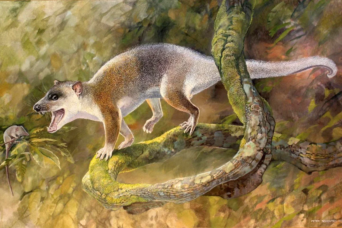An artist