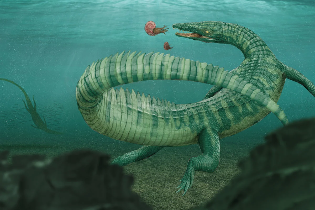 LItorosuchus somnii