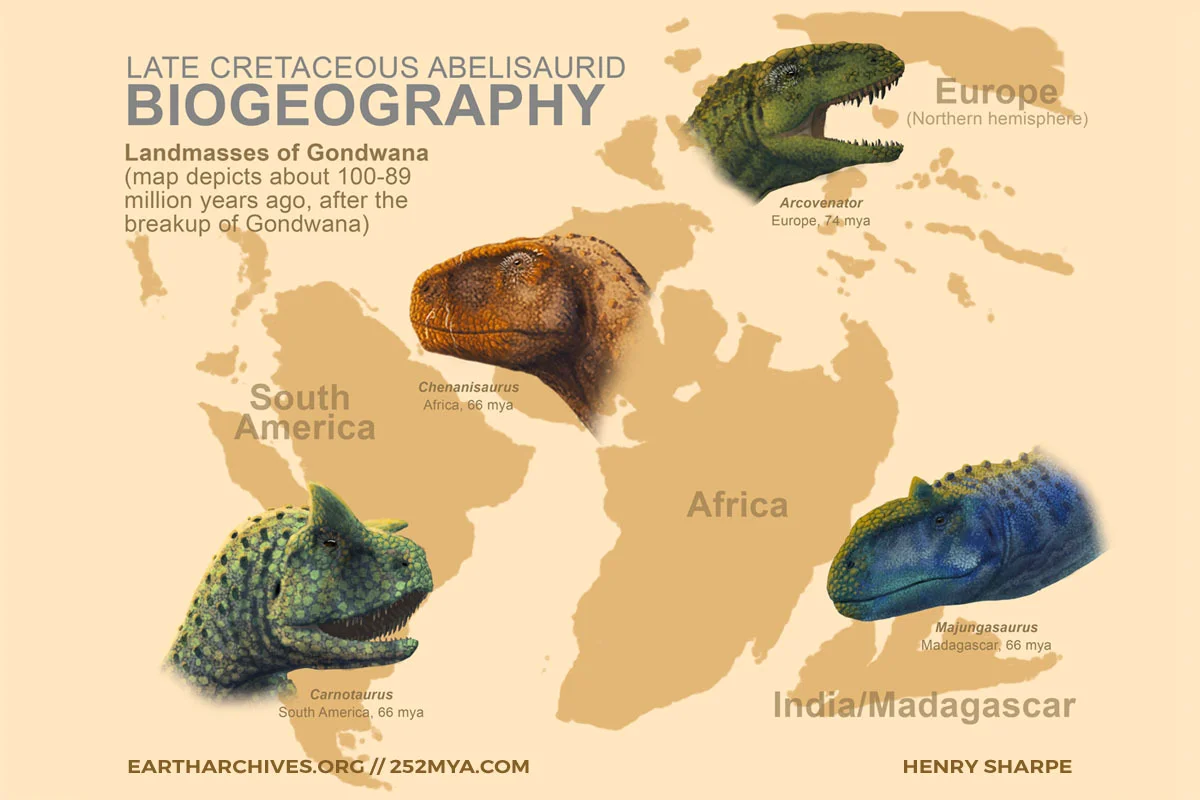 The distribution of abelisaurids