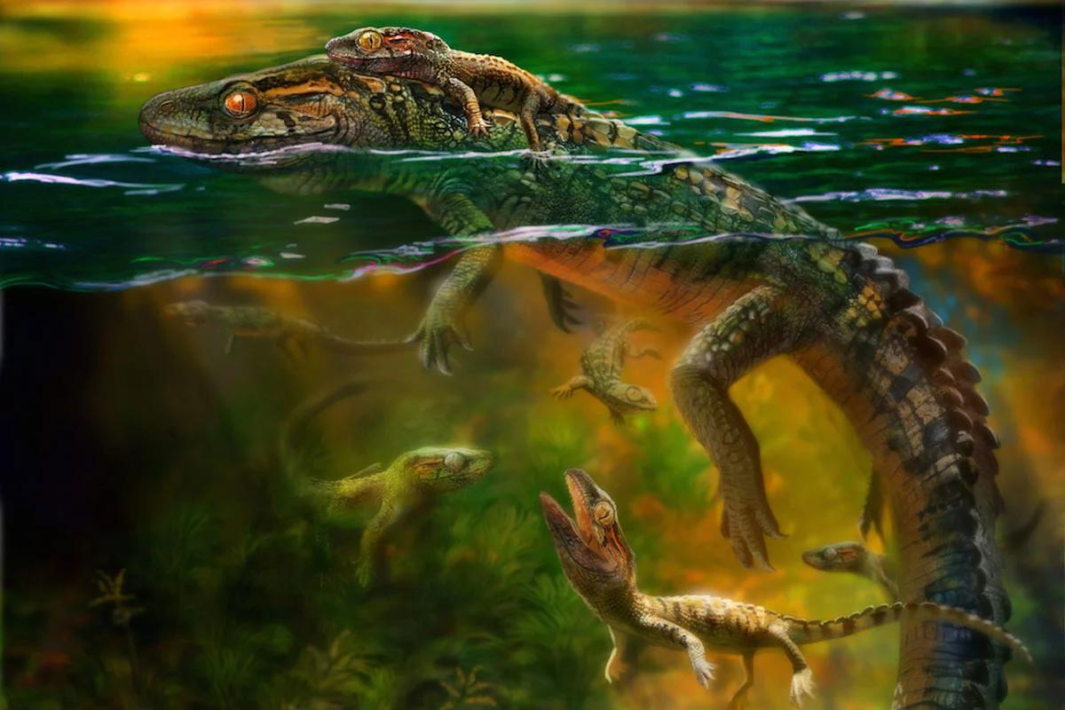 Adult Philydrosaurus and its babies.